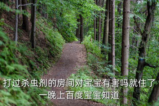 打過(guò)殺蟲(chóng)劑的房間對(duì)寶寶有害嗎就住了一晚上百度寶寶知道