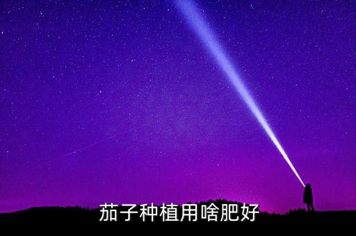  茄子種植用啥肥好
