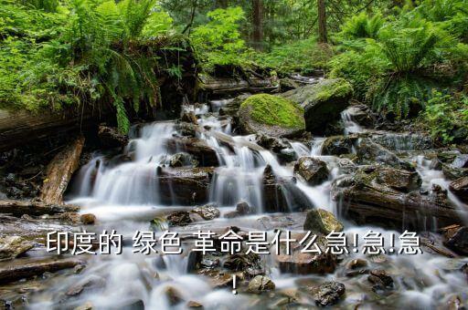 印度的 綠色 革命是什么急!急!急!