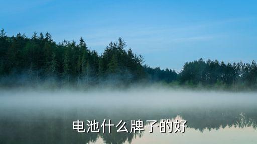 電動(dòng)農(nóng)藥機(jī)選什么電池好