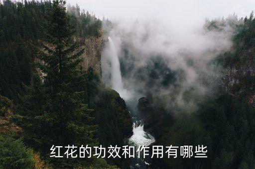 刺紅花用什么農藥打藥