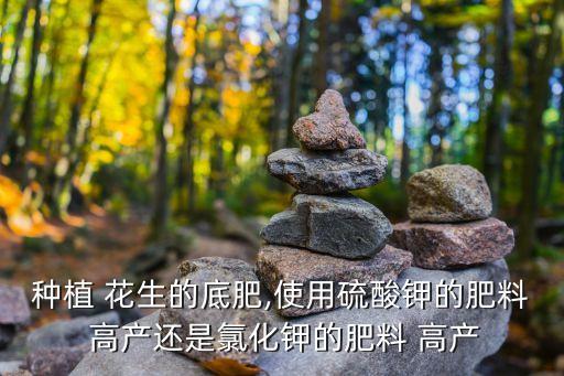 什么農藥打花生能高產,花生用什么農藥殺蟲