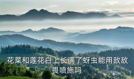  花菜和蓮花白上長滿了蚜蟲能用敵敵畏噴施嗎