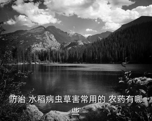 什么農藥能殺死水稻,水稻最后一次打什么農藥