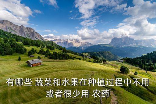 有哪些 蔬菜和水果在種植過程中不用或者很少用 農藥