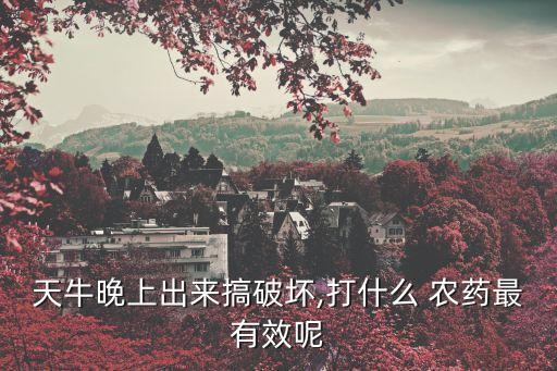 天牛晚上出來搞破壞,打什么 農藥最有效呢