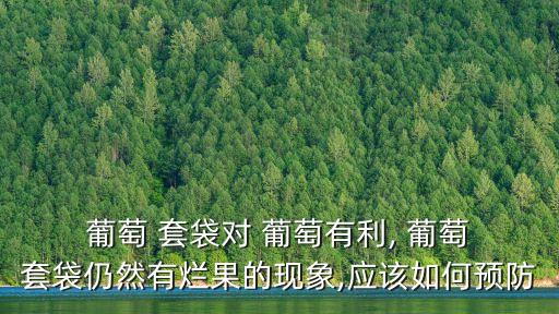 葡萄套袋用什么農藥好,葡萄用什么農藥最多