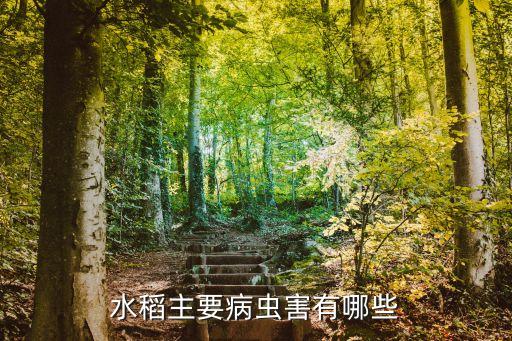 水稻主要病蟲害有哪些
