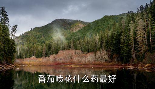 西紅柿打什么農藥好,種植西紅柿用什么農藥