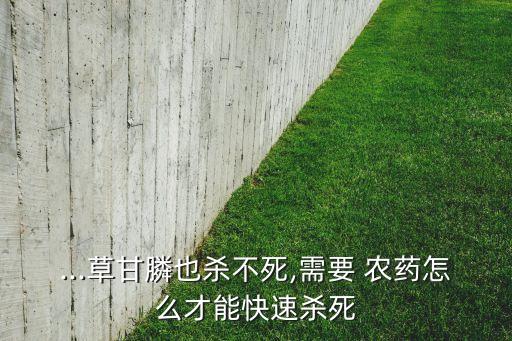 牛筋草什么農(nóng)藥除好,什么是牛筋草