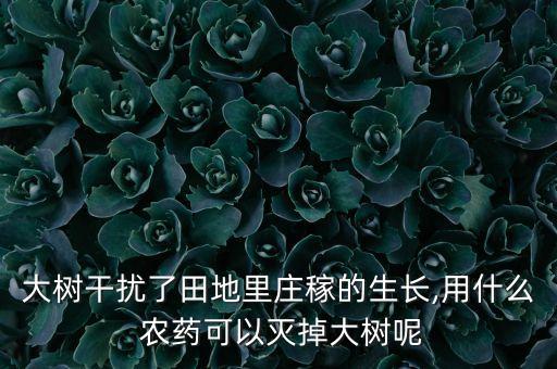 大樹(shù)干擾了田地里莊稼的生長(zhǎng),用什么 農(nóng)藥可以滅掉大樹(shù)呢