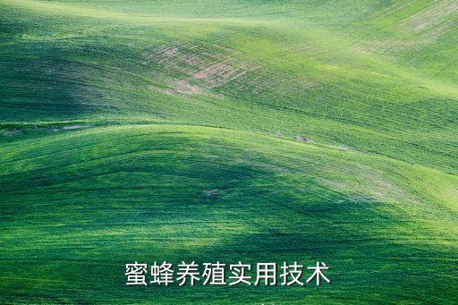蜜蜂養殖實用技術