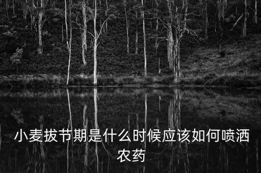 3月小麥打什么農藥,小麥倒春寒用什么農藥