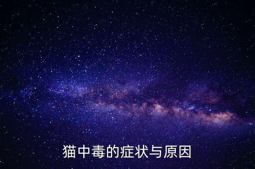 貓中毒的癥狀與原因
