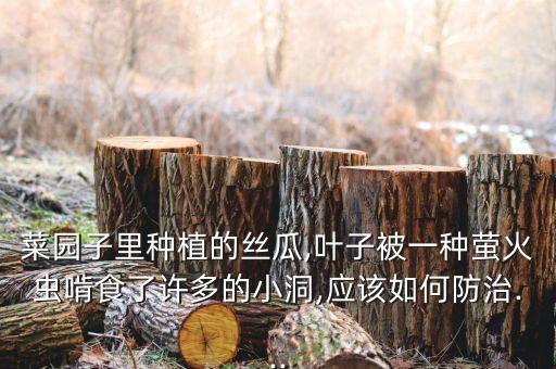 農(nóng)藥管月治什么蟲子,3911農(nóng)藥主要治什么