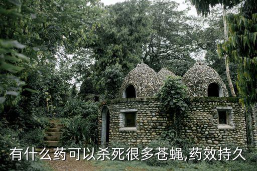 什么樣的農藥治蠅子,什么治蠅子效果好