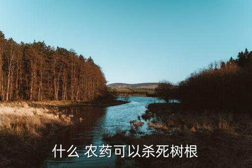 有什么農藥能打死大樹最好