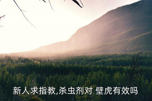 農(nóng)藥壁虎是治什么,有什么辦法可以治壁虎