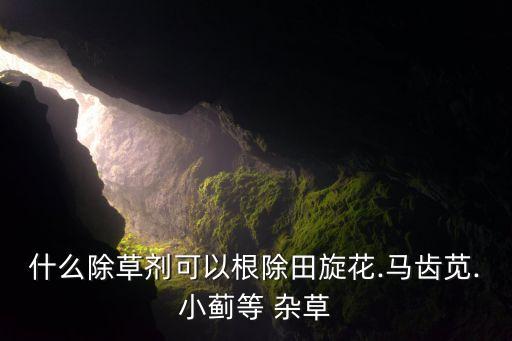 雜草用什么農(nóng)藥除根,什么農(nóng)藥讓雜草一年不長(zhǎng)