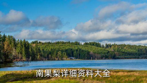南果梨詳細資料大全
