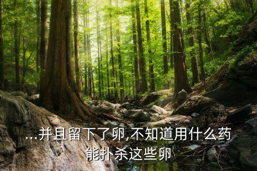 ...并且留下了卵,不知道用什么藥能撲殺這些卵