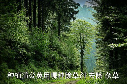 什么農(nóng)藥可以去除雜草,頑固雜草用什么農(nóng)藥