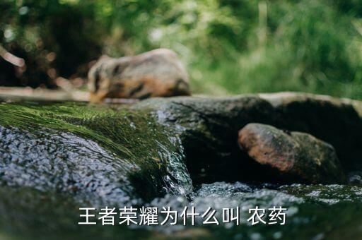王者農(nóng)藥云游戲無限時間,農(nóng)藥王者是什么游戲