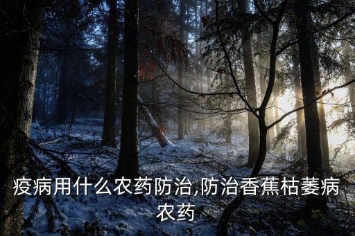 香蕉疫病用什么農藥防治,防治香蕉枯萎病農藥