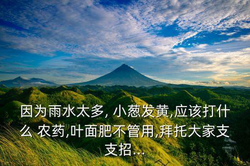 小蔥壓藥打什么農藥好,小蔥打什么藥高產