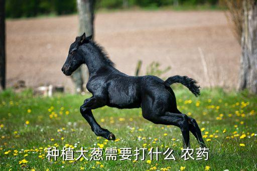 什么藥藥水蔥的農藥,水蔥用什么藥效果好