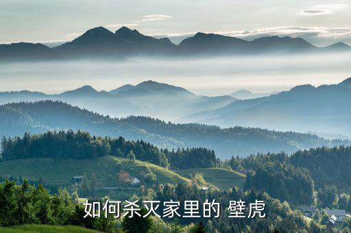 如何殺滅家里的 壁虎