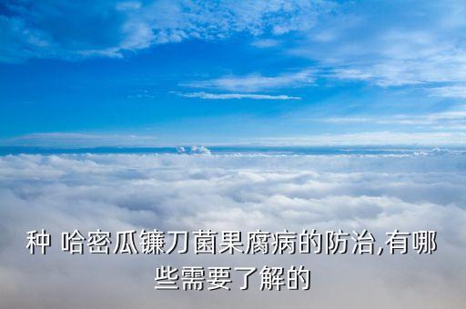 種植哈密瓜要打什么農藥,哈密瓜適合在什么地方種植