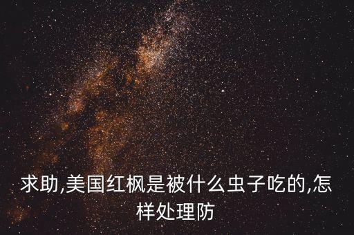 天牛用什么農(nóng)藥效果好紅楓
