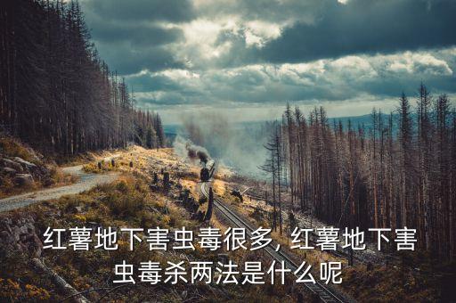  紅薯地下害蟲毒很多, 紅薯地下害蟲毒殺兩法是什么呢