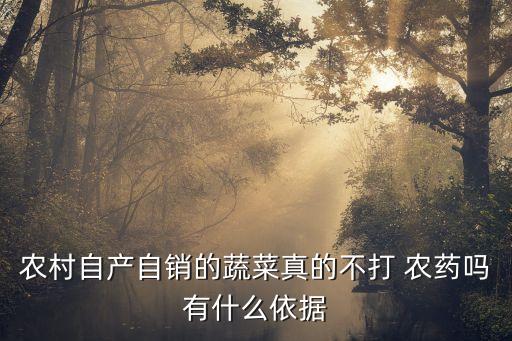 農村自產自銷的蔬菜真的不打 農藥嗎有什么依據
