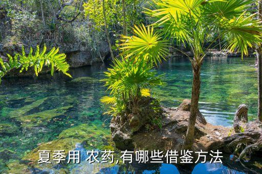 農藥用什么做粘著劑,農藥粘著劑有哪些