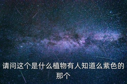 請(qǐng)問這個(gè)是什么植物有人知道么紫色的那個(gè)