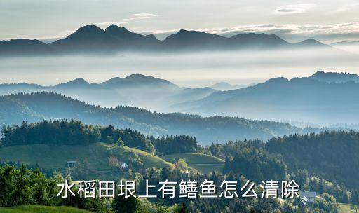 用什么農藥可以打死黃鱔,什么農藥可以殺死黃鱔