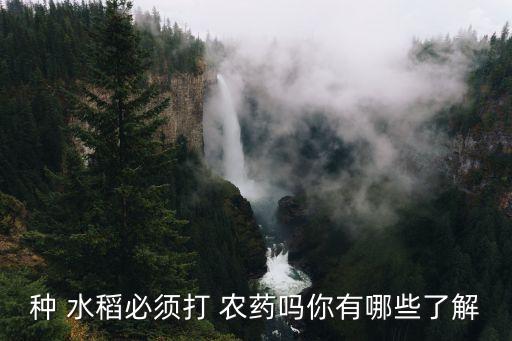 種 水稻必須打 農藥嗎你有哪些了解