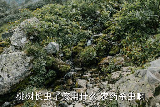  桃樹長蟲了該用什么 農藥殺蟲啊