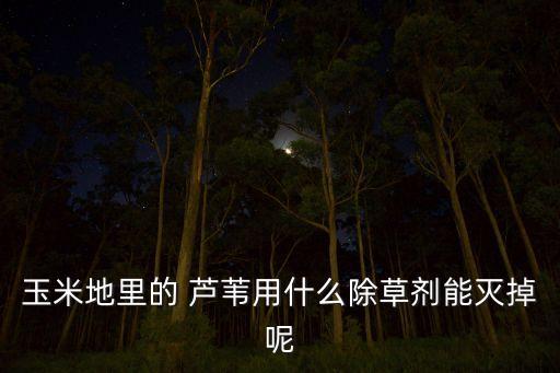什么農(nóng)藥能去除蘆葦,去除蘆葦草用什么農(nóng)藥好