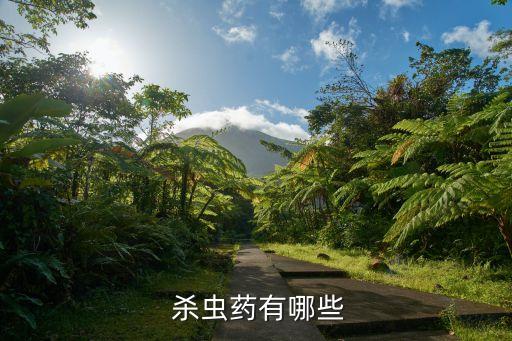 目前殺蟲農(nóng)藥什么藥最好,殺蟲雙可以配什么農(nóng)藥