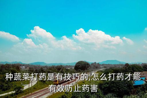 用什么農藥打菜好吃視頻,什么菜打霜之后好吃