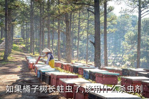 桔子樹(shù)用什么農(nóng)藥殺菌最好,現(xiàn)在桔子樹(shù)打什么農(nóng)藥好