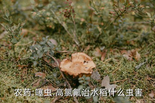  農(nóng)藥:噻蟲.高氯氟治水稻什么蟲害