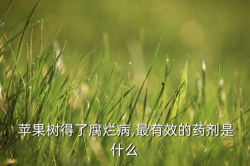 蘋果流膠用什么農藥,蘋果開花前打什么農藥