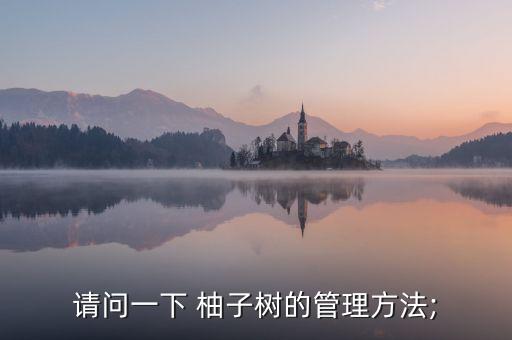 請問一下 柚子樹的管理方法;