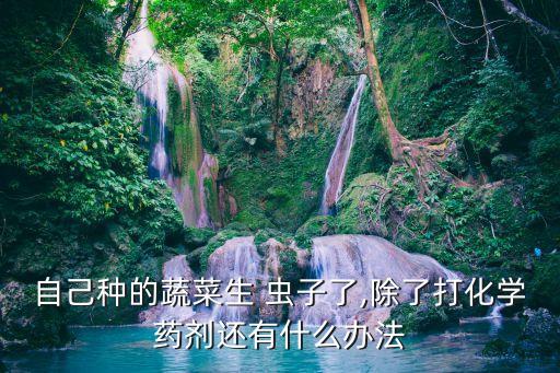 自己種的蔬菜生 蟲子了,除了打化學(xué)藥劑還有什么辦法