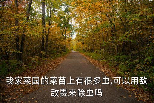 菜地除蟲用什么農藥,菜地打農藥什么時間打好