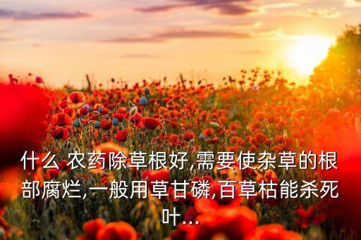 什么 農藥除草根好,需要使雜草的根部腐爛,一般用草甘磷,百草枯能殺死葉...